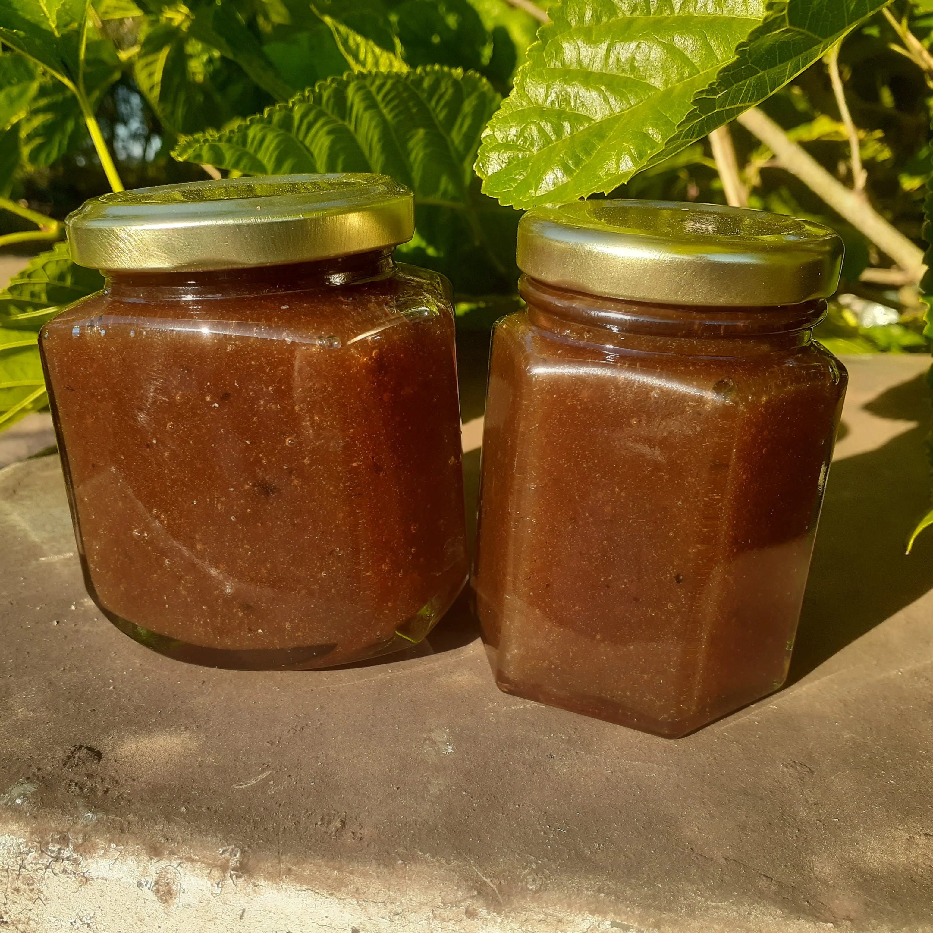 Pure Raw Manuka Honey UMF™ 28+ | MGO 1450+